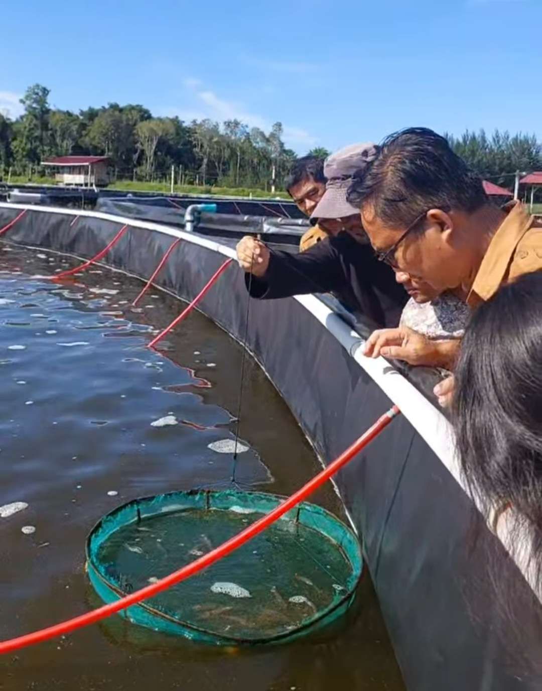 Dinas Perikanan Medan Kunjungi Lokasi Budidaya Udang